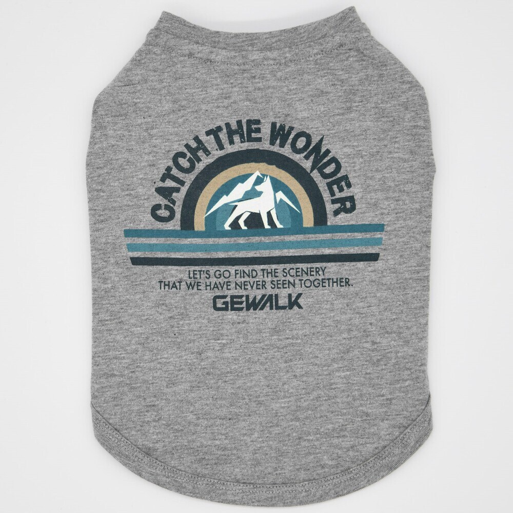 [}C]OtBbNTVcSyCGzR[M[pTCY/WEH[NiGEWALKj ۃO[