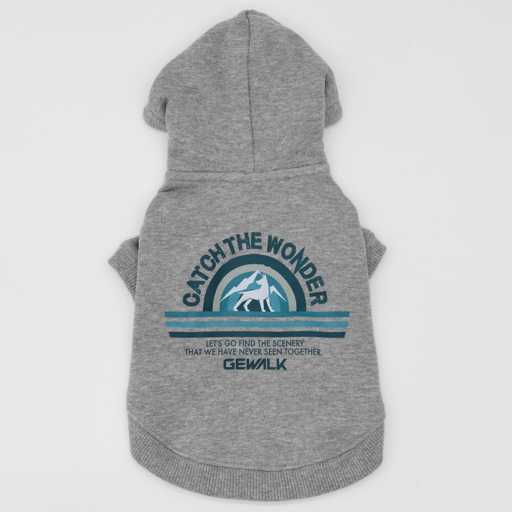 [}C]HORIZON HOODIEy3XLzp[J[/WEH[NiGEWALKj ۃO[