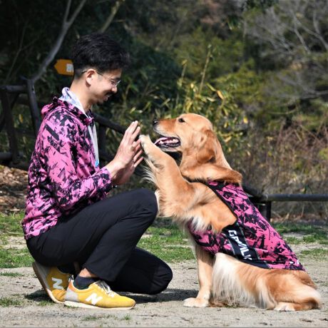 [^:LGY312-7000]ȂǂƂ܂ĂAėĂAhɂčsIȖhfށBIoւ̌ʂ͂܂Bn`Auւ̌ʂ͂܂̂łӂBWbvp[J[^CvȂ̂ŌȒĂgĂ܂BTz[dlŎ̖̎hAĂh~ʂ߂Ă܂BbVfނ̂ߌyʂʋCmہBzfނgpĂ邽ߊ␅ŔGĂłBFi͒p̖C⊾ɂFڂ肷邱Ƃ܂BAWFƈꏏɐ󂵂ȂłBԔGꂽԂŕu܂ƐF̋ꂪ܂̂ŁAソɌ`𐮂Ă犱ĂBϐFA򉻂̌ɂȂ܂̂ŁACȂAʋĈ悢ÏɕۊǂĂBY܂̂gp͂BvgȉꍇAvg􂢂܂Ƒւ̈ڐ̌ƂȂ܂̂łӂBk邱Ƃ܂̂ŁA^u[͂BzFZW̐íAFڂ肷邱Ƃ܂Buܔz܂͎gpȂłBǔɒԂ炳邱ƂŁAF鋰ꂪ܂B