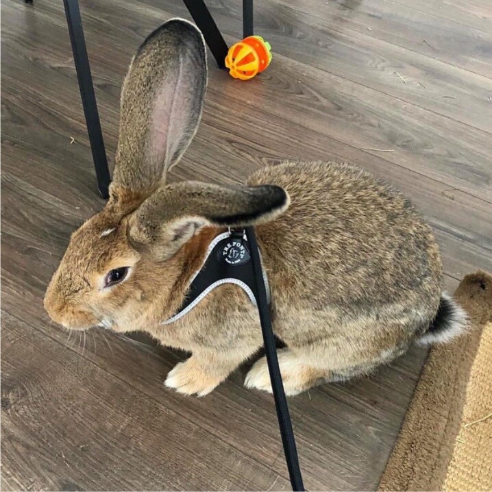 [}C]x^ tNeBuy3z/g|eBiTRE PONTIj ubN