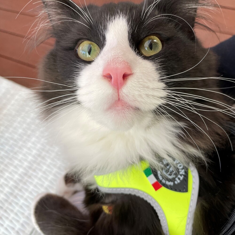 [}C]x^ tIy3z/g|eBiTRE PONTIj CG[