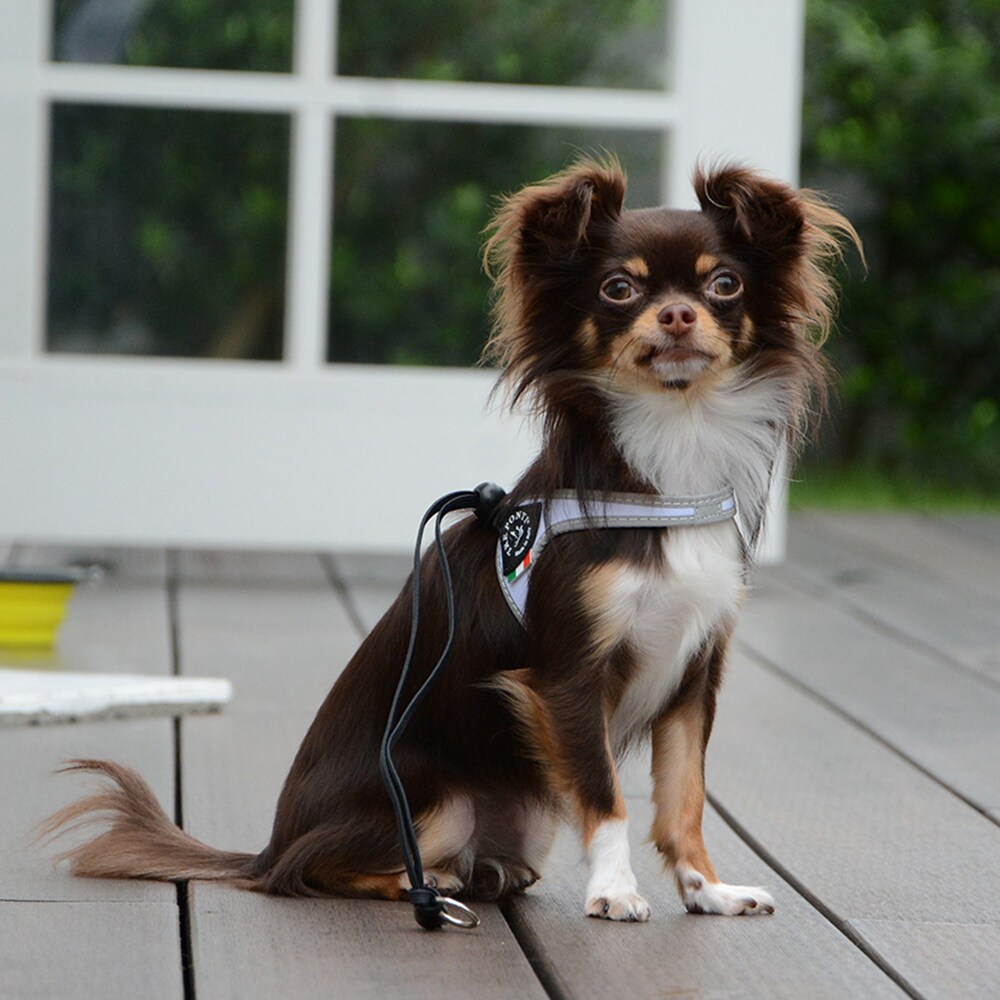 [}C]x^ tIy3z/g|eBiTRE PONTIj zCg