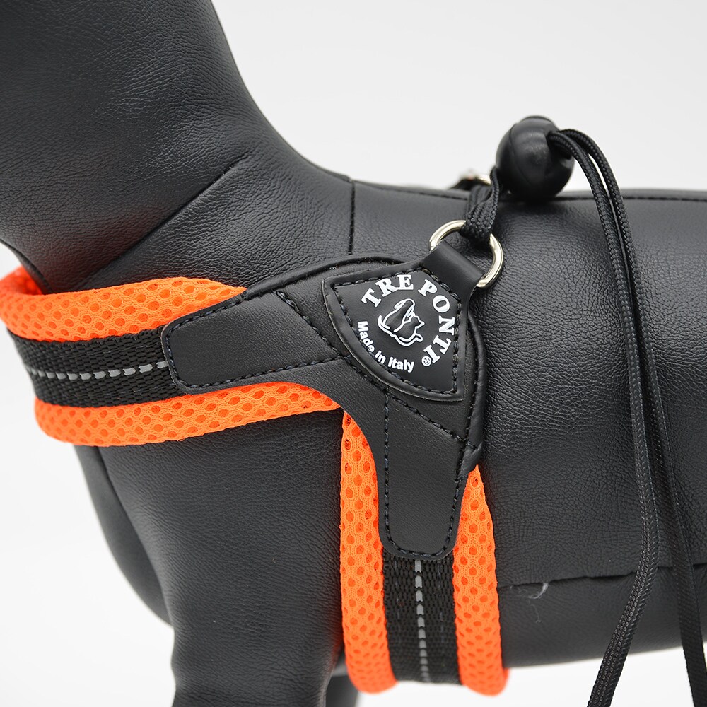 [}C]x^ \tgbVy3z/g|eBiTRE PONTIj IW