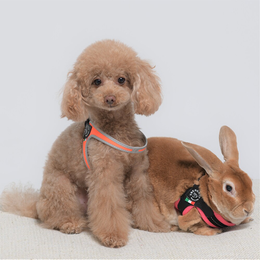 [}C]x^ \tgbVy3z/g|eBiTRE PONTIj sN