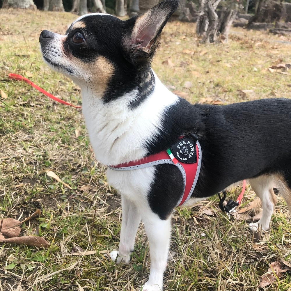 [}C]tBbrA tNeBuy3.3.5z/g|eBiTRE PONTIj bh