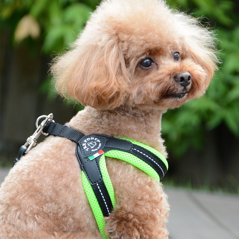 [}C]tBbrA \tgbVy3 3.5z/g|eBiTRE PONTIj O[