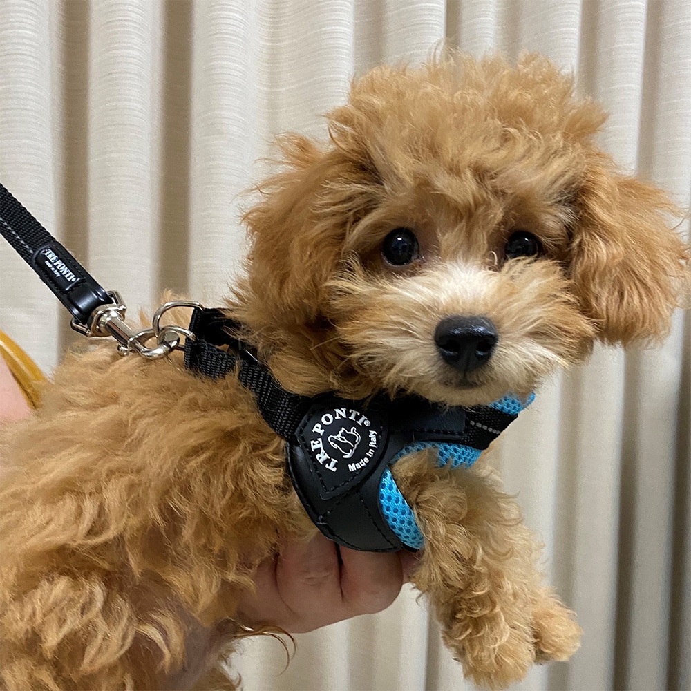 [}C]tBbrA \tgbVy3 3.5z/g|eBiTRE PONTIj u[