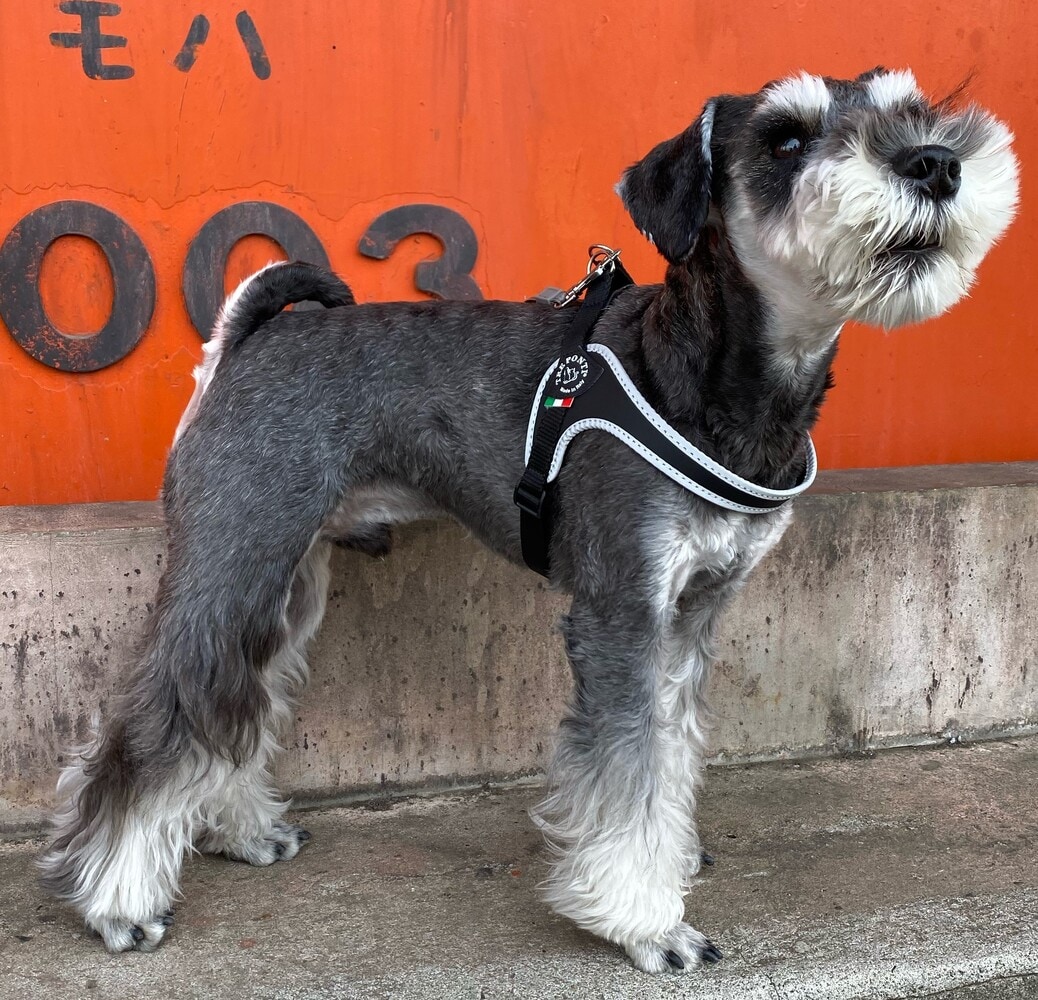 [}C]tBbrA AWX^u^Cv tNeBuy3z/g|eBiTRE PONTIj ubN