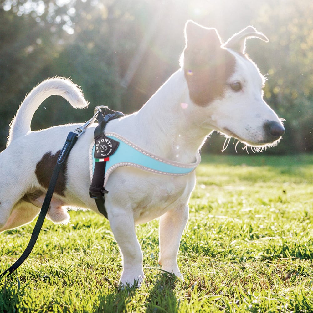 [}C]tBbrA AWX^u^Cv tNeBuy3z/g|eBiTRE PONTIj XJCu[