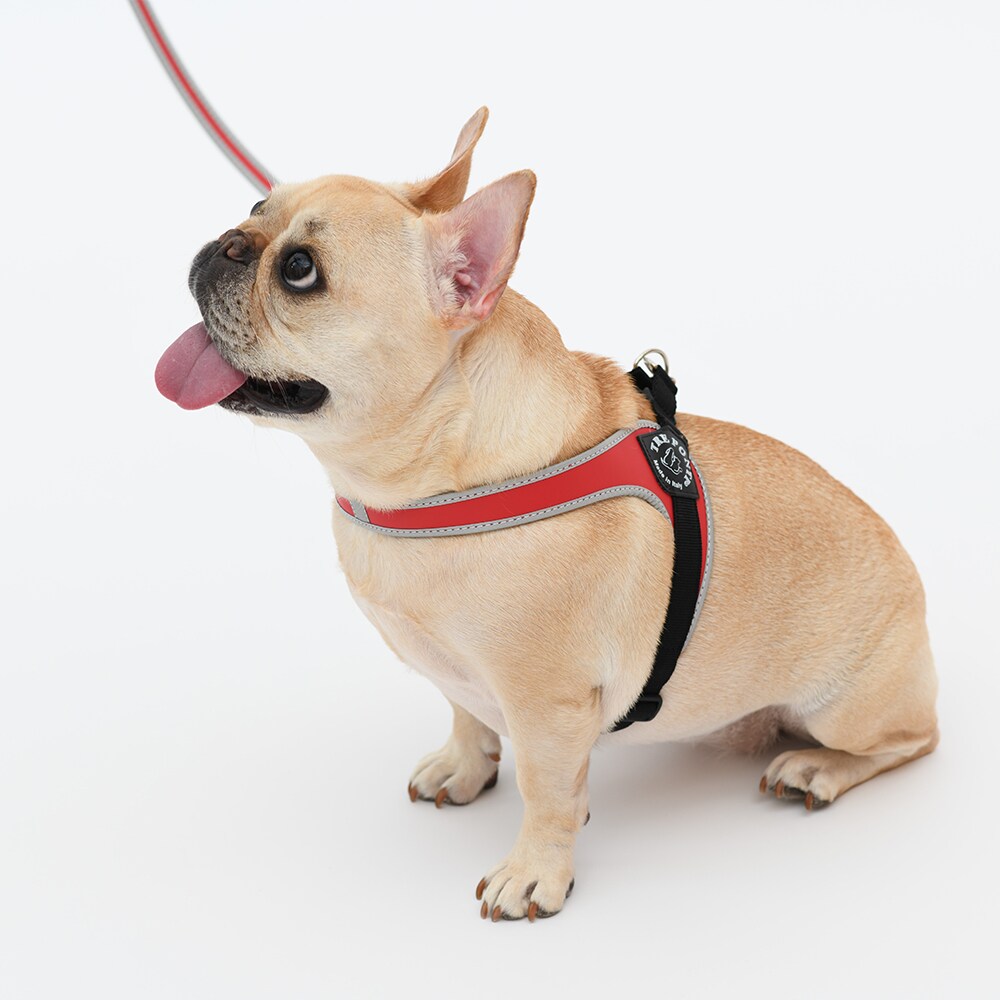 [}C]tBbrA AWX^u^Cv tNeBuy3z/g|eBiTRE PONTIj bh