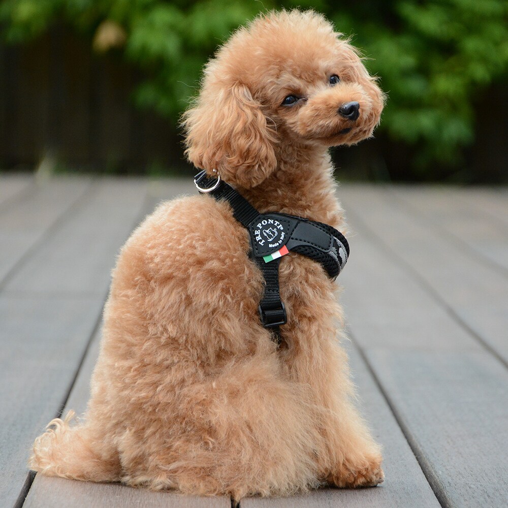 [}C]tBbrA AWX^u^Cv yj[RNVy3z/g|eBiTRE PONTIj O[J