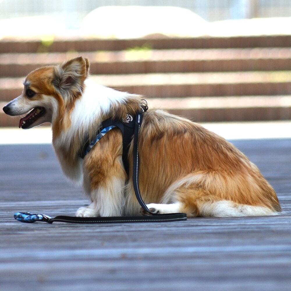 [}C]tBbrA AWX^u^Cv bVJy1 1.5z/g|eBiTRE PONTIj Jt