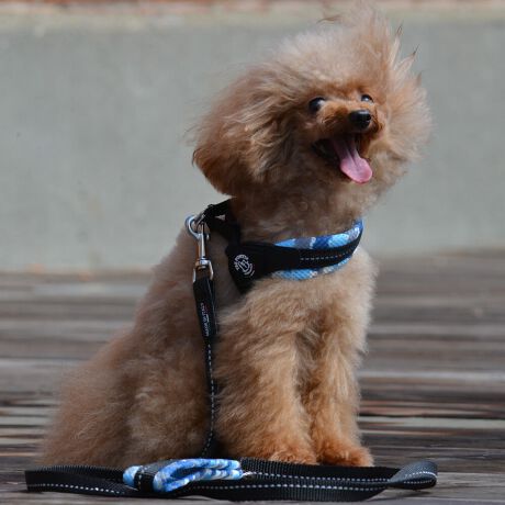 [^:LTX349D2-5000]̑̌^ɍ킹ē蕔̒߂\ȃn[lXłBw̃obN͊ȒPɒE\ŁA̎UhbOAAWeB[Ȃǂ̉^ۂɓW܂B_炩GSn̗ǂ\tgbVn͌yĒʋC蕉SɂȂɂA𔽎˂郊tNgfނ̎҂ݍ܂Ă̂ŖԂ̃EH[LOɂœKłBӎ2̃fUC݂܂Aǂ̃fUCKiɊԈႢ܂B܂Awۂ́Aǂ̃fUCIтƂ͂ł܂B̒낵肢\グ܂Bgp̓ybgڂ𗣂ȂŉBgpOɓ_Aꍇ͐V̂ƌĉBybgȊOɂ͎gpȂŉB̖h~ׁ̈AKTCYEK̏dȊÕybgɂ͎gpȂŉBAꍇ͓K̏dɗ]T̂鐻igpB̏ꏊɂƂǂ߂ẴׂPCɂ͎gpȂŉBlybgjГȂ悤ɒӂĉBAꍇ͏btɂkB{i͐gpBgp@̌╪ECEɂ鎖̂ɂẮAؐӔC𕉂܂Bqlgpۂ́AKیҗlĉB{i͏ՕiłBgpOɕK_AUOڈɐViɔւĉBقT̔jꂽgpȂŉBybg񂾂AЂƁA؂ꂽj܂B{igpۂ́A܂߂ĂȂA_ĉBybgꍇ́AɎgpȂŉBG▀CȂǂŐFꍇ܂BɐF̔ѐF̃ybgɂ͂ӉB΋C␅C̑ł̂gpۊǂ͂ȂŉBGꂽꍇ́AȏꏊɒuĊĉB̉͐ŔG炵złڂĂ@艺BcEybĝӂȂɕۊǂĉB