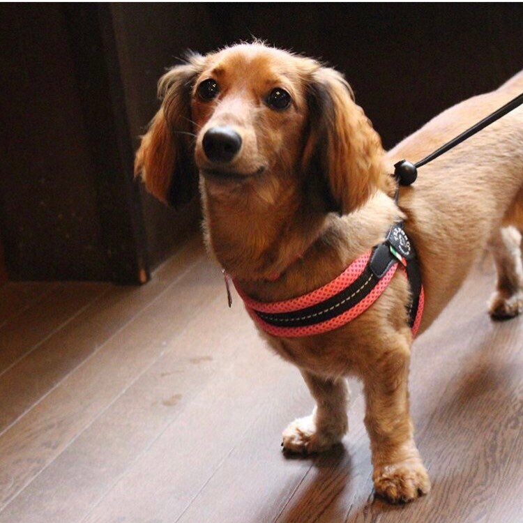 [}C]x^ \tgbV pXey3z/g|eBiTRE PONTIj CgsN