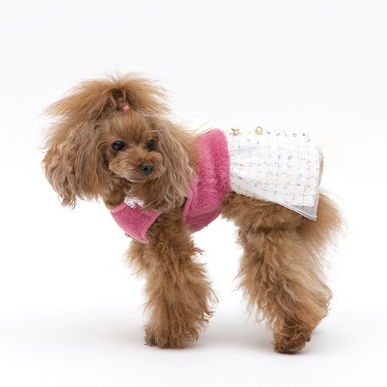 [}C]lbNXcC[hs[Xy2 3z 2FsN/WFhbOiGemelliDogj sN