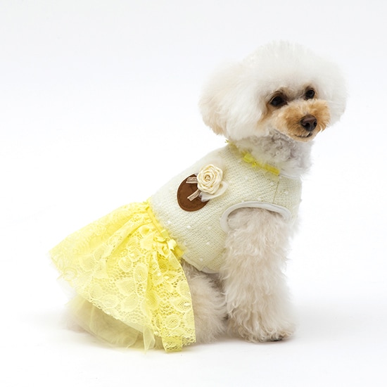 [}C][XXJ[gs[Xy2 3z 3FsN/WFhbOiGemelliDogj CG[