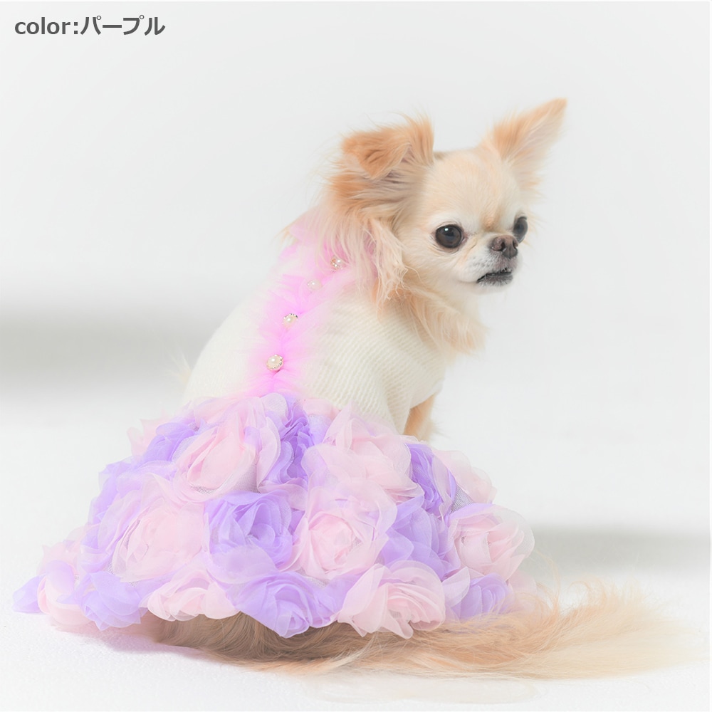 [}C]ԃ`[o[s[Xy2 3z 3FsN/WFhbOiGemelliDogj p[v