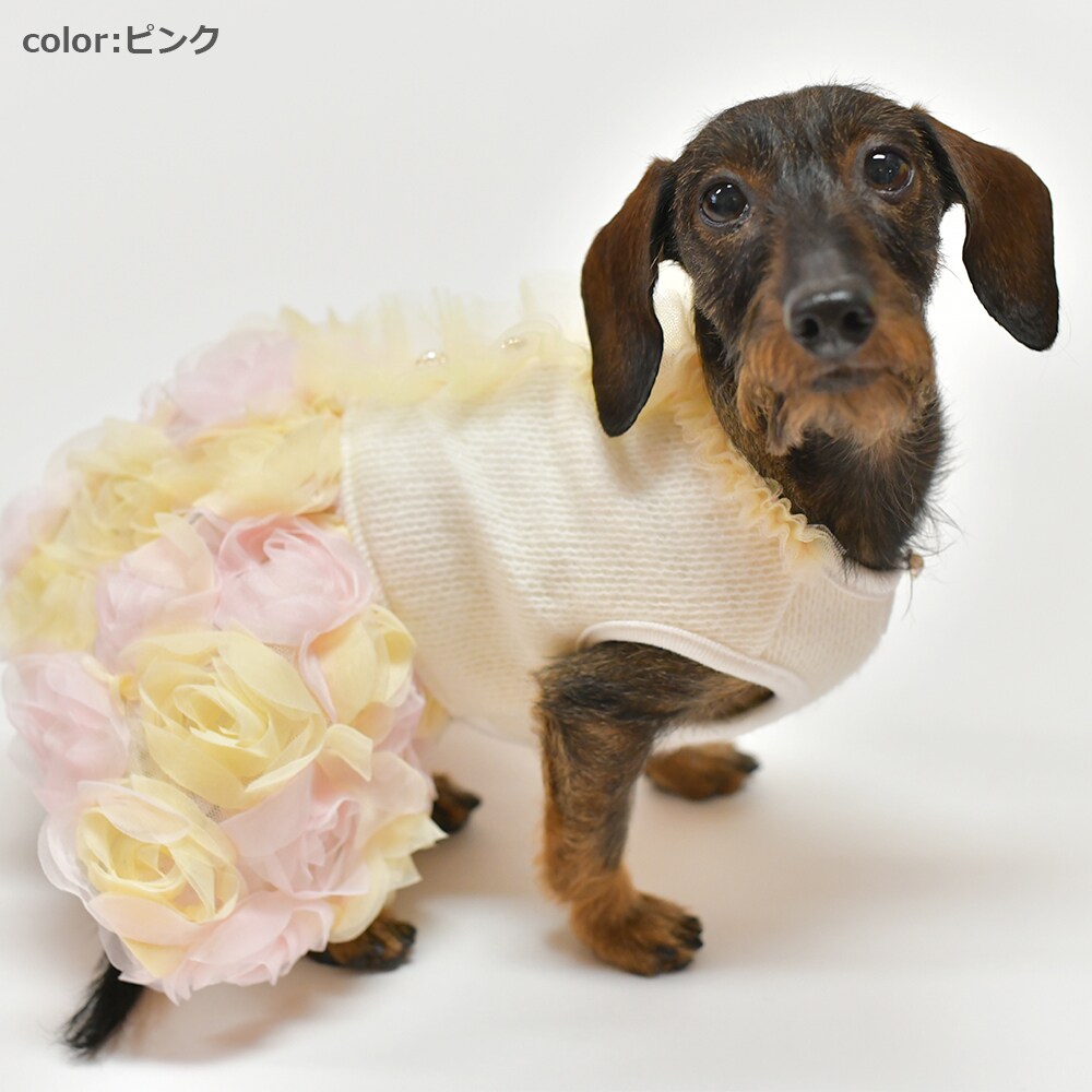 [}C]ԃ`[o[s[Xy2 3z 3FsN/WFhbOiGemelliDogj sN