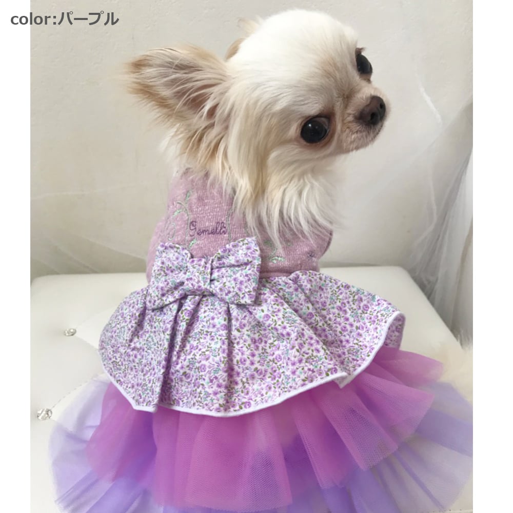 [}C]ԃts[Xy2 3z 3Fp[v/WFhbOiGemelliDogj p[v