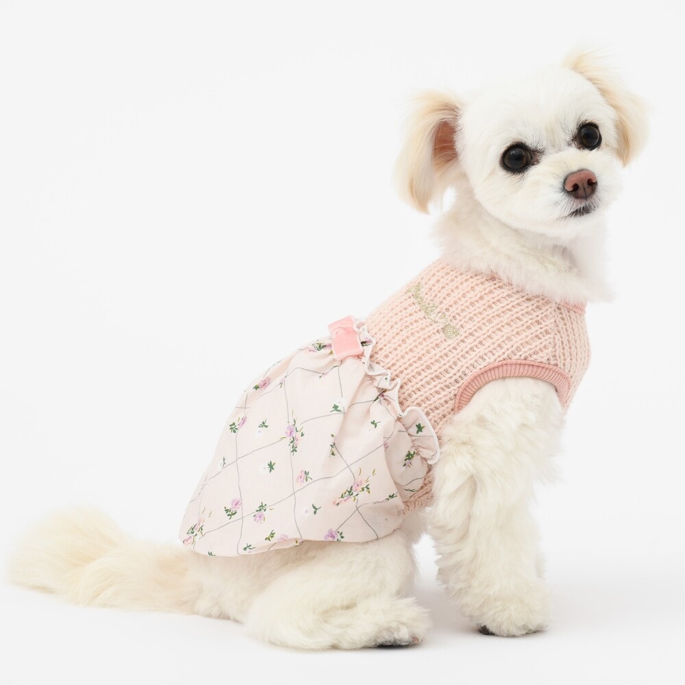 [}C]XC[gnio[`jbN 4FItzCg/WFhbOiGemelliDogj sN