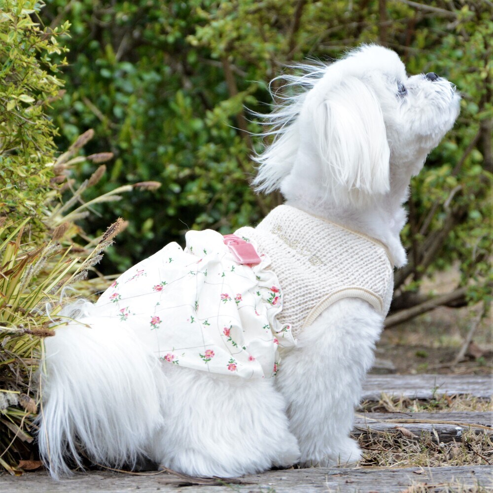 [}C]XC[gnio[`jbN 4FItzCg/WFhbOiGemelliDogj ItzCg