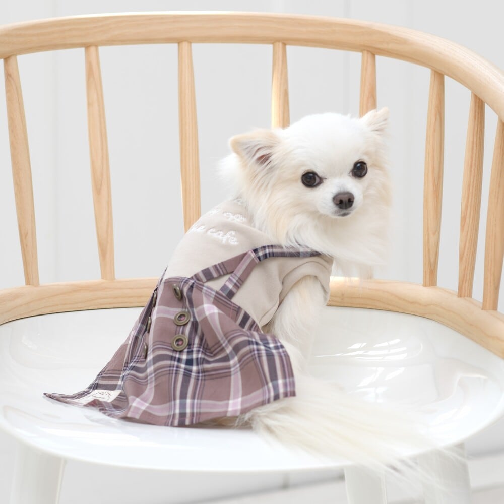 [}C]`FbNs[X 4FItzCg/WFhbOiGemelliDogj x[W