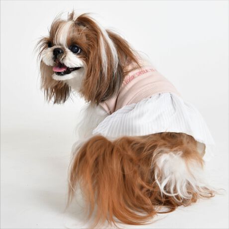 [^:LGW244-2700]JWAȃg[i[nɃv[c̃`[킹bNX~X^C̃`jbNBsNƃx_[̂QFWJŉ؂₩ȐFłBlԂ̕Ɠngp{̑fނ͏d肵ƂnƂȂĂ܂BgɓꂽhJCpNgBrƂꂽӂ̎hJ͑؂Ȉ֌bZ[WłBѐnH`~ɂĒpłPłB΋Cɋ߂ÂAɂȂꏊɕۊǂȂŉB@E@͔AK􂢁ERĉB܂gpĐ􂤍ۂɂ͒܂gpAY܂̎gp͔ĉBFF肷鋰ꂪ܂̂ő̕ƈꏏɐ킸AKPi􂢂ĉBԐɐZĂƐF鋰ꂪ܂B^u[͏kދꂪ܂̂łBvgE}[N̂ݐ􂢂ƃAC͂BgppxɂjAiꍇ܂Bjꂽۂɂ́ǍɂȂ܂̂ŁAɎgp𒆎~ĉBݍ񂾏ꍇɂ͂ɎoAbtɂkB