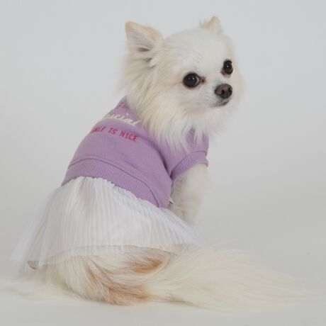 [^:LGW244-2700]JWAȃg[i[nɃv[c̃`[킹bNX~X^C̃`jbNBsNƃx_[̂QFWJŉ؂₩ȐFłBlԂ̕Ɠngp{̑fނ͏d肵ƂnƂȂĂ܂BgɓꂽhJCpNgBrƂꂽӂ̎hJ͑؂Ȉ֌bZ[WłBѐnH`~ɂĒpłPłB΋Cɋ߂ÂAɂȂꏊɕۊǂȂŉB@E@͔AK􂢁ERĉB܂gpĐ􂤍ۂɂ͒܂gpAY܂̎gp͔ĉBFF肷鋰ꂪ܂̂ő̕ƈꏏɐ킸AKPi􂢂ĉBԐɐZĂƐF鋰ꂪ܂B^u[͏kދꂪ܂̂łBvgE}[N̂ݐ􂢂ƃAC͂BgppxɂjAiꍇ܂Bjꂽۂɂ́ǍɂȂ܂̂ŁAɎgp𒆎~ĉBݍ񂾏ꍇɂ͂ɎoAbtɂkB