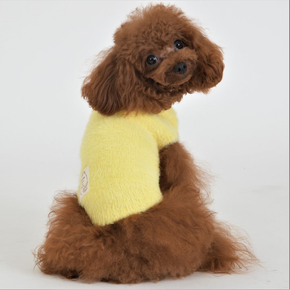 [}C]wAjbgy2 3 4z 4FsN/WFhbOiGemelliDogj CG[