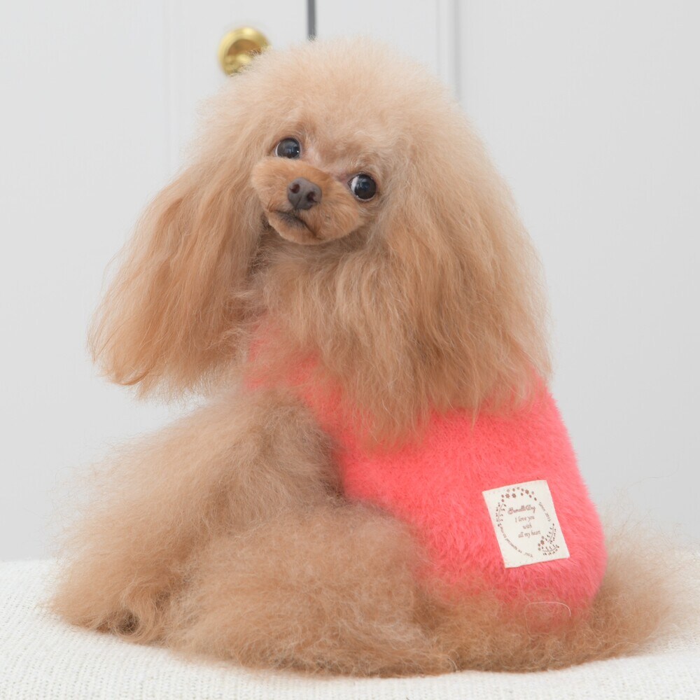 [}C]wAjbgy2 3 4z 4FsN/WFhbOiGemelliDogj bh