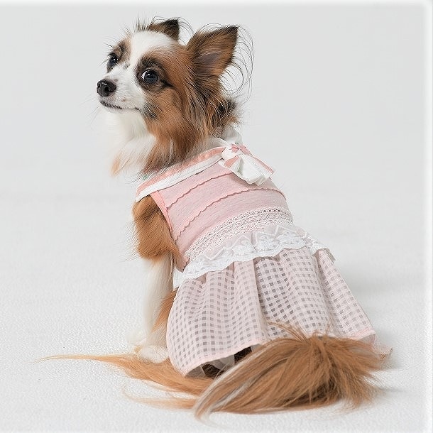 チェックセーラーワンピース 4号：ピンク | ジェメリドッグ(GemelliDog