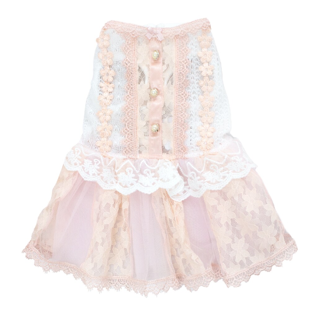 [}C]t[[Xؑփs[X 4FsN/WFhbOiGemelliDogj zCg