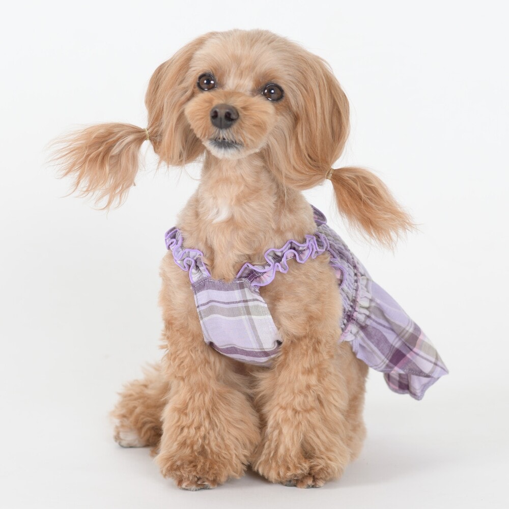 [}C]V[Os[X 4 p[v/WFhbOiGemelliDogj p[v