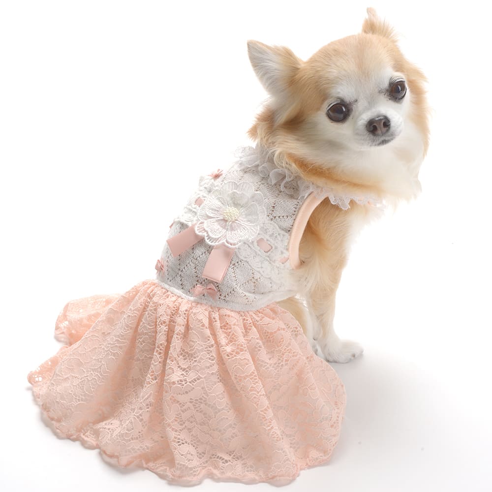 [}C][XL~s[X 4FsN/WFhbOiGemelliDogj sN