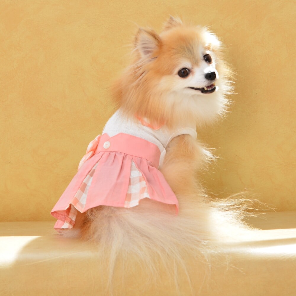 [}C]ؑփtAs[X 4 u[/WFhbOiGemelliDogj sN