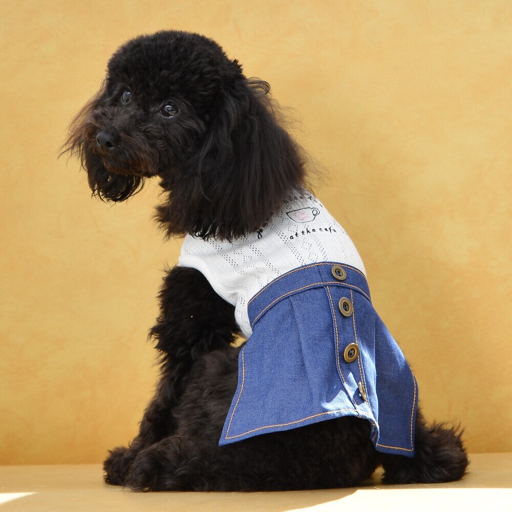 [}C]fjs[X 4 sN/WFhbOiGemelliDogj zCg