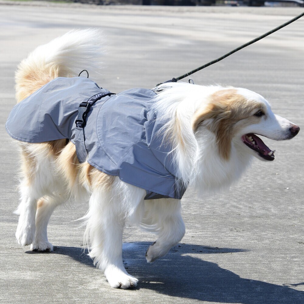 [}C]525 Z[teBtNeBuWPbg/WEH[NiGEWALKj Vo[