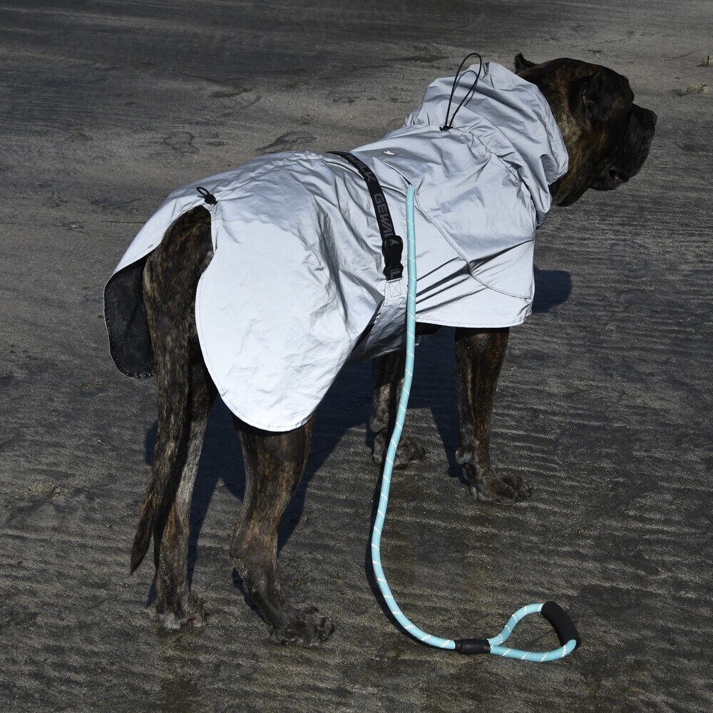 [}C]525 Z[teBtNeBuWPbg/WEH[NiGEWALKj Vo[