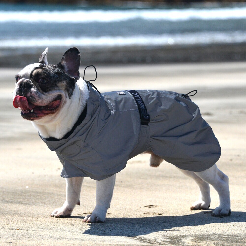 [}C]525 Z[teBtNeBuWPbg/WEH[NiGEWALKj Vo[