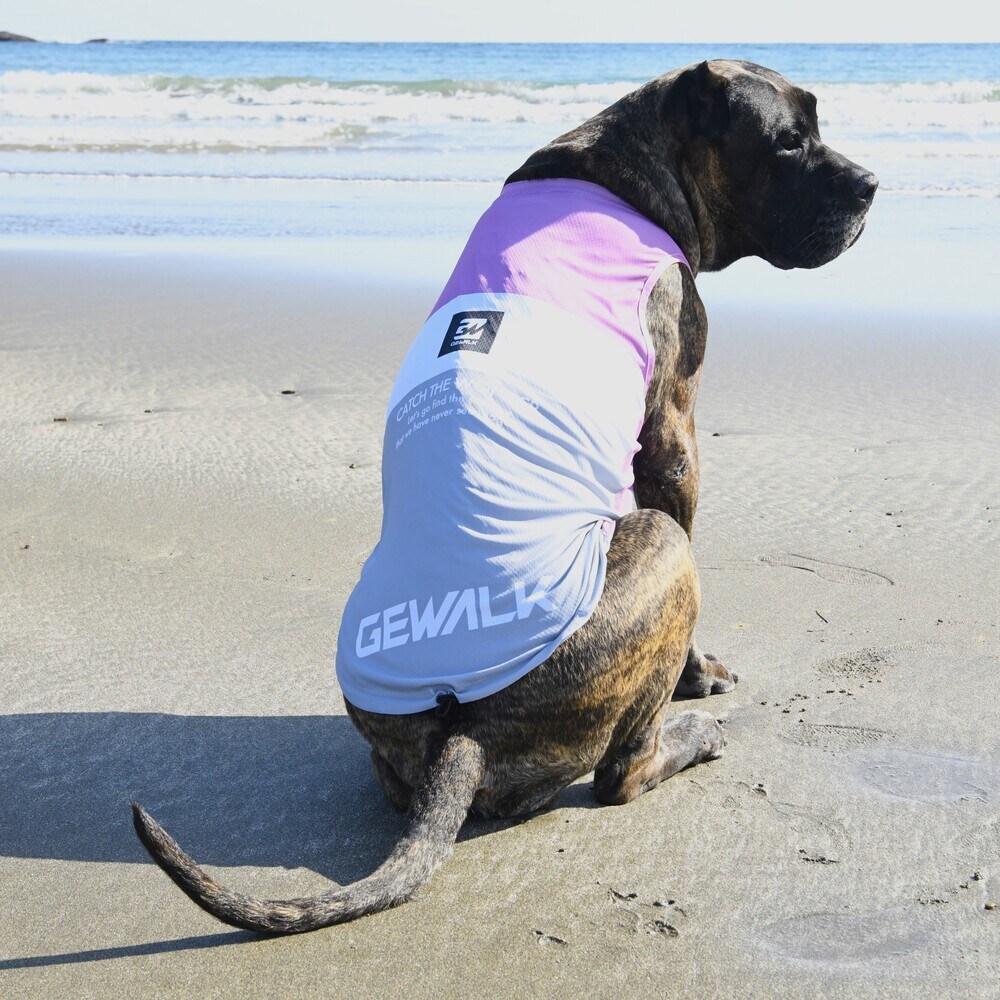 [}C]526 GW ANeBu N[O ^Ngbv/WEH[NiGEWALKj u[