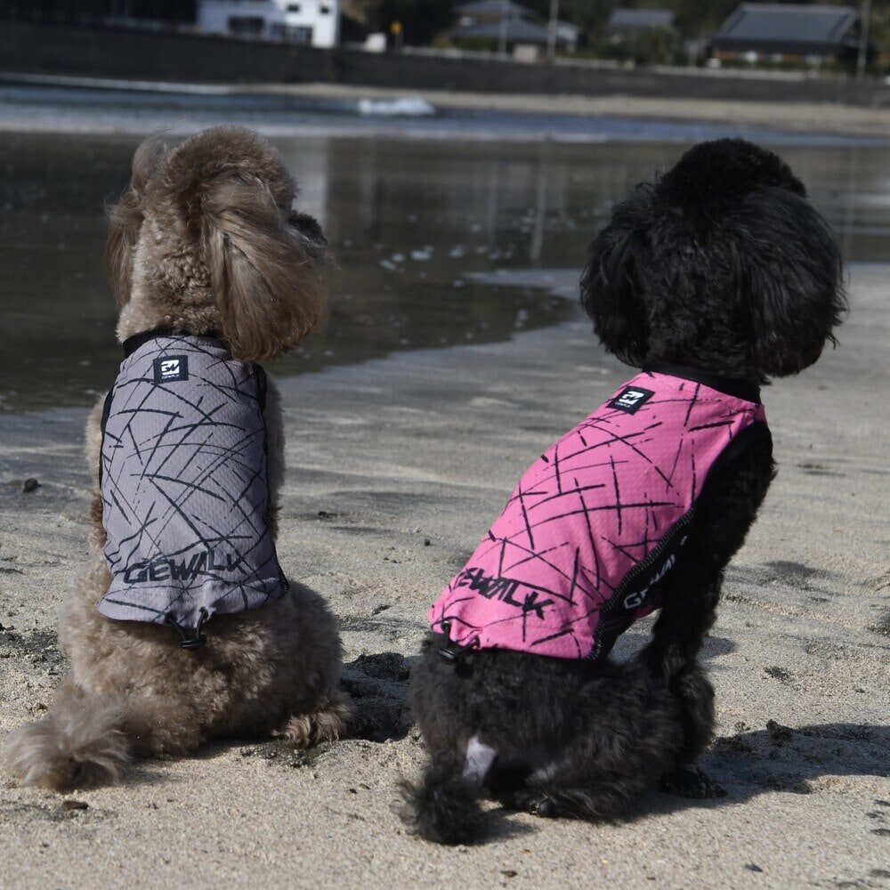 [}C]527 GW ANeBu N[O ^Ngbv/WEH[NiGEWALKj sN