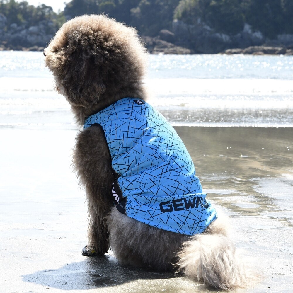 [}C]527 GW ANeBu N[O ^Ngbv/WEH[NiGEWALKj u[