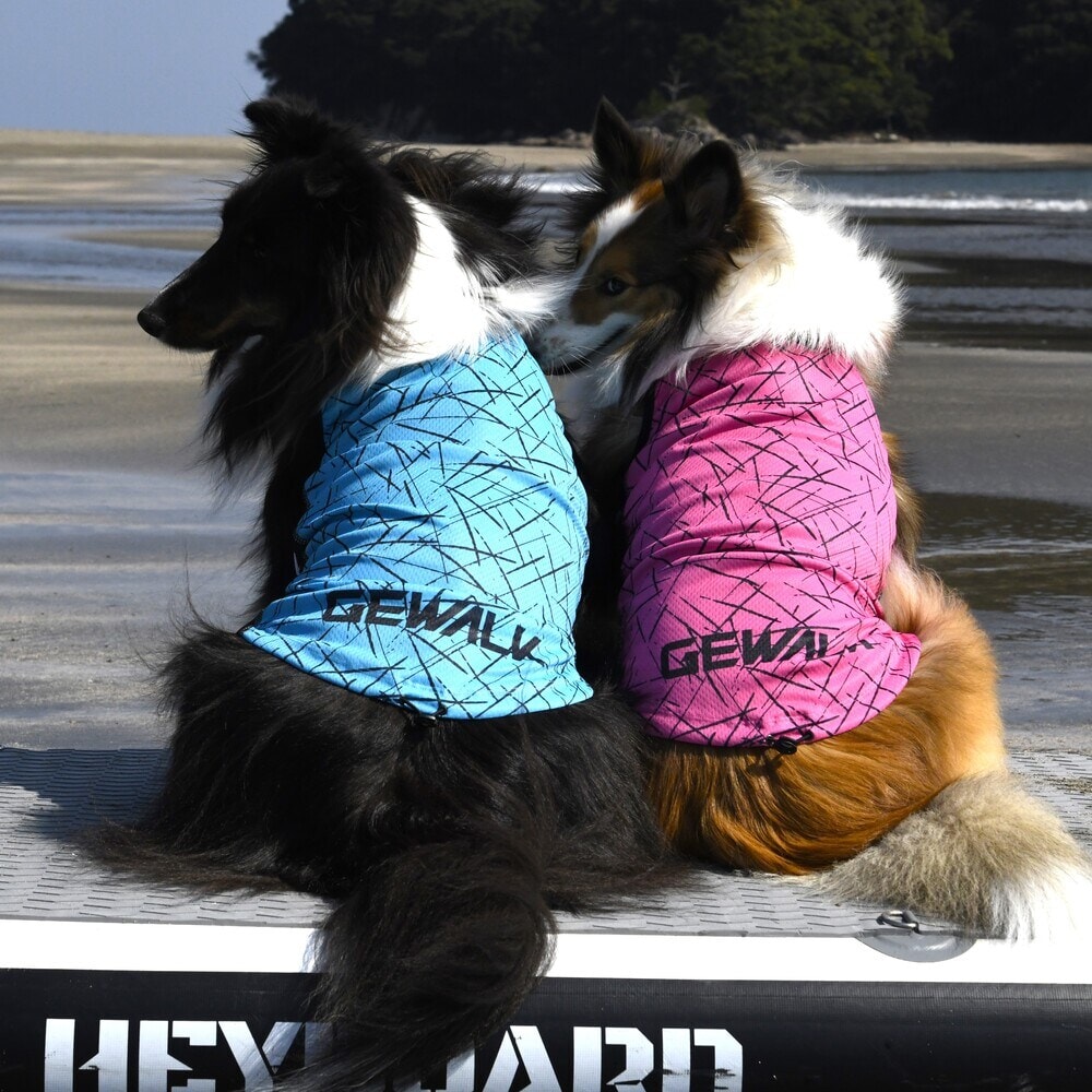 [}C]527 GW ANeBu N[O ^Ngbv/WEH[NiGEWALKj sN