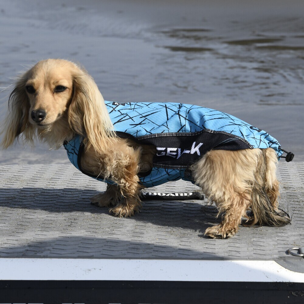 [}C]527 GW ANeBu N[O ^Ngbv/WEH[NiGEWALKj u[