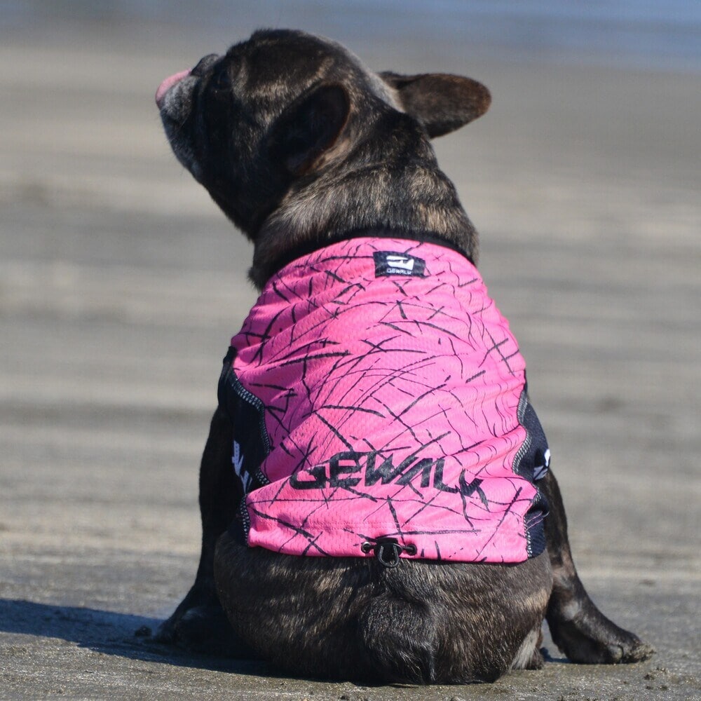 [}C]527 GW ANeBu N[O ^Ngbv/WEH[NiGEWALKj u[