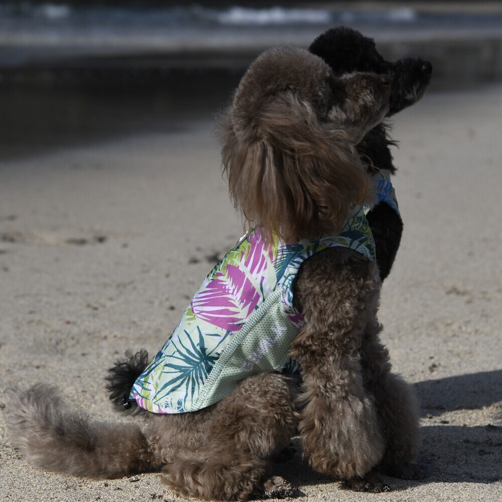 [}C]528 GW ANeBu TVF[h ^Ngbv/WEH[NiGEWALKj sN