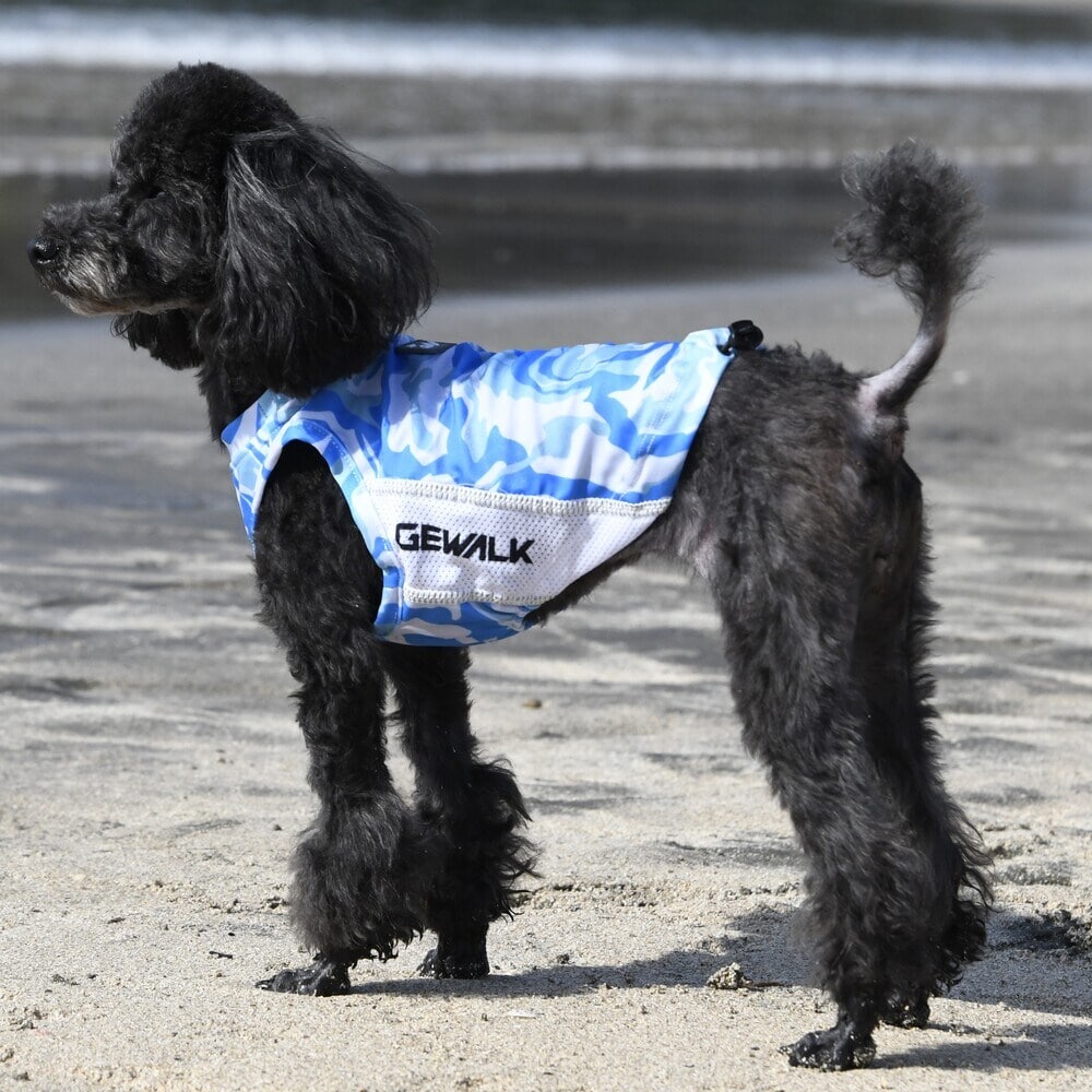 [}C]529 GW ANeBu TVF[h ^Ngbv/WEH[NiGEWALKj u[