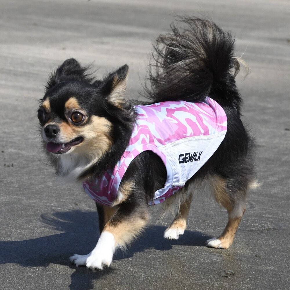 [}C]529 GW ANeBu TVF[h ^Ngbv/WEH[NiGEWALKj sN