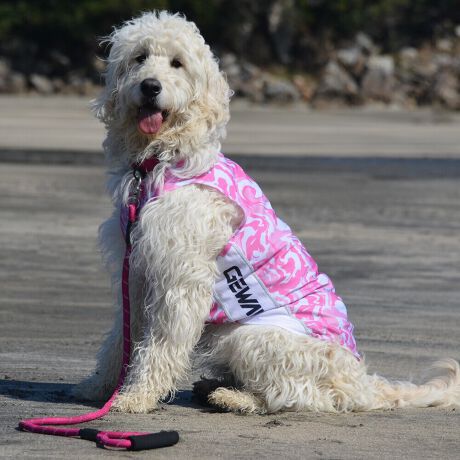 [^:LGE529-3000]ōNX̎OՕłtoeTO{⎇O爤܂IɗDA𐁂ƋCMɂKɁB܂AuSv`xX[p[Xgb`{tbgV[}Dv̗pADڂŃSȂSnƔQ̃tBbgɂ蓮₷܂BtuJbgAՔMʂAUhbOɂ߂ŁA₷TVF[h^NgbvłB΋Cɋ߂ÂAɂȂꏊɕۊǂȂŉB@E@͔AK􂢁ERĉB܂gpĐ􂤍ۂɂ͒܂gpAY܂̎gp͔ĉBFF肷鋰ꂪ܂̂ő̕ƈꏏɐ킸AKPi􂢂ĉBԐɐZĂƐF鋰ꂪ܂B^u[͏kދꂪ܂̂łBvgE}[N̂ݐ􂢂ƃAC͂BgppxɂjAiꍇ܂Bjꂽۂɂ́ǍɂȂ܂̂ŁAɎgp𒆎~ĉBݍ񂾏ꍇɂ͂ɎoAbtɂkB