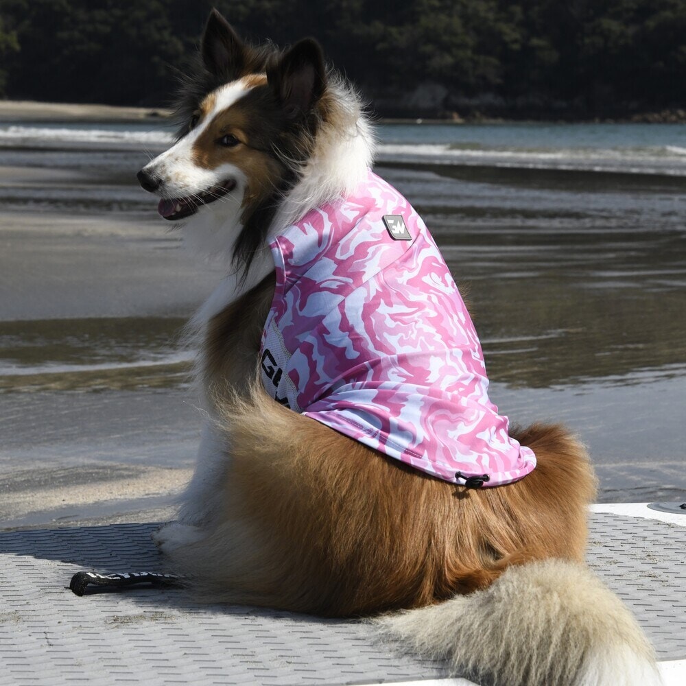 [}C]529 GW ANeBu TVF[h ^Ngbv/WEH[NiGEWALKj sN